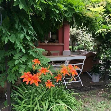 Ca' Barbona * Лидо-ди-Классе