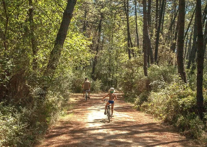 Ca' Barbona 利多克拉西