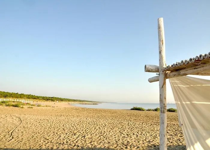住宿加早餐酒店 Ca' Barbona