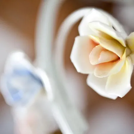 Ca' Barbona Panzió Lido di Classe