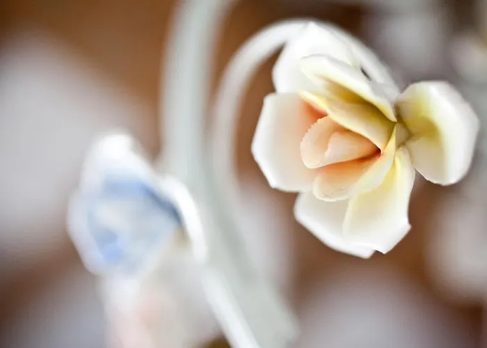 Ca' Barbona Frühstückspension Lido di Classe